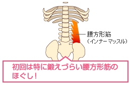 初回は特に鍛えづらい腰方形筋のほぐし！