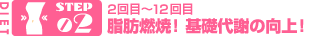 STEP02：2回目〜12回目　脂肪燃焼！基礎代謝の向上！